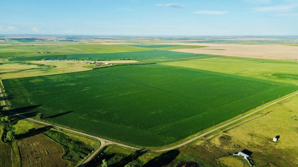 Landscape view for Lyman County 311