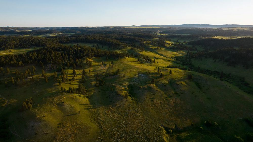 Landscape view for Little Houston Creek Ranch