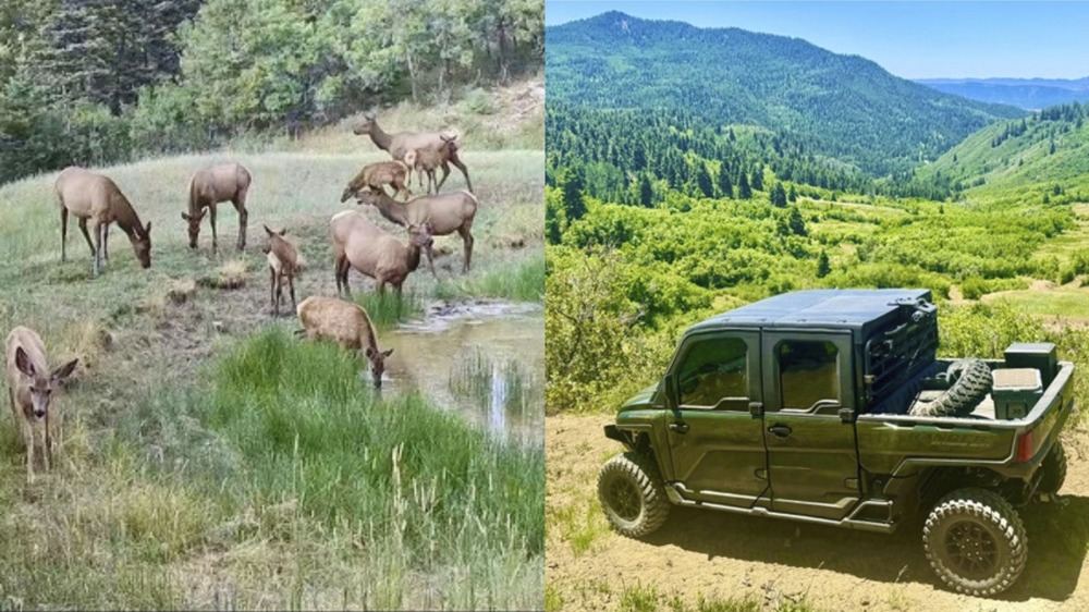 Landscape view for Chromo Mountain Elk, Land and Cattle Ranch