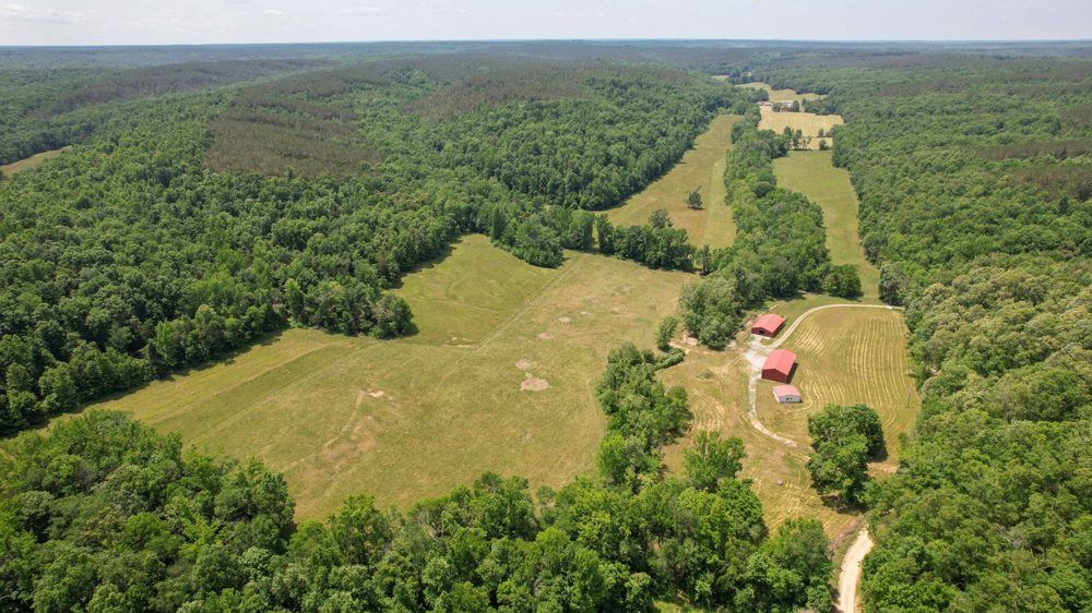 Landscape view for Milam 337