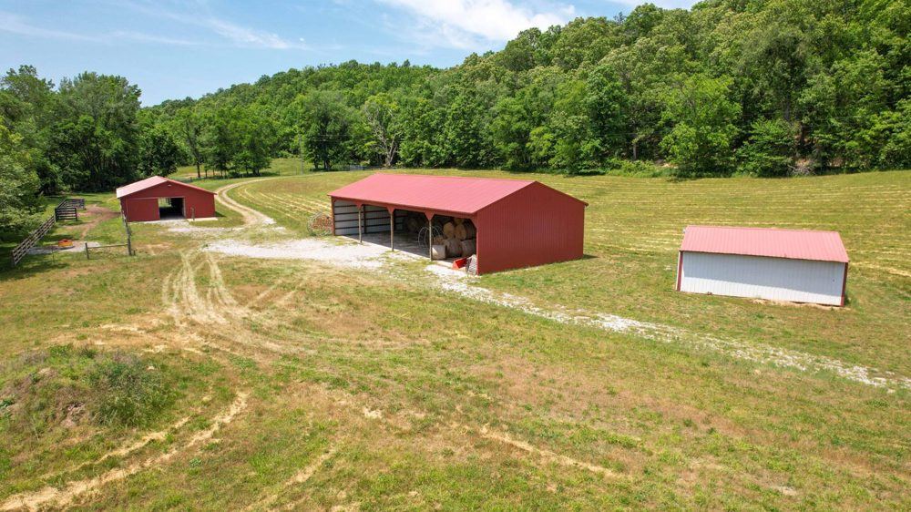 Milam 337, view 3