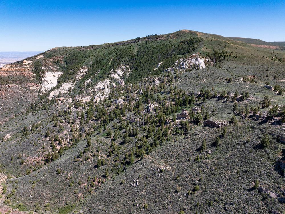 Landscape view for Dry Fork Little Mountain Ranch