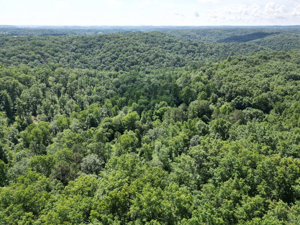 Landscape view for East Bernstadt Kentucky 370 +/-