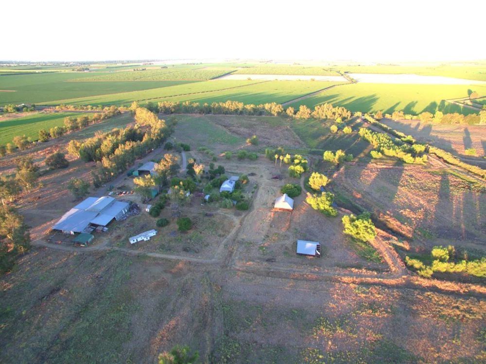 Landscape view for 320 Acres of Organic Farmland in Woodland, Califor
