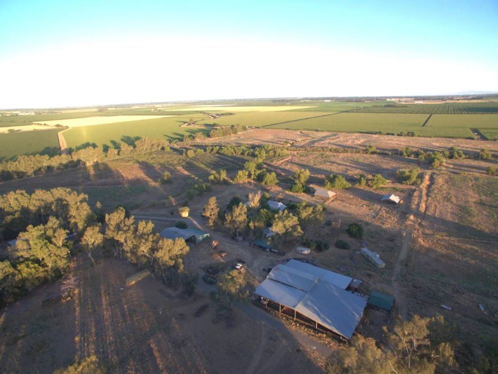 320 Acres of Organic Farmland in Woodland, Califor, view 2