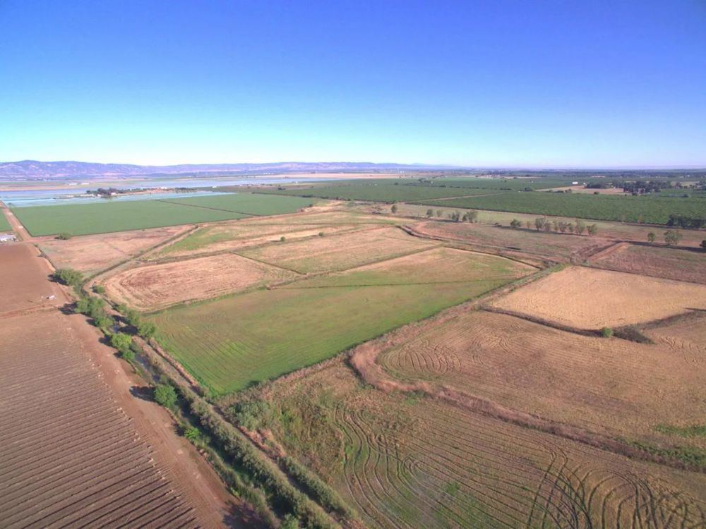 320 Acres of Organic Farmland in Woodland, Califor, view 3