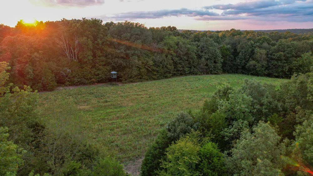 Landscape view for Yellow Creek Hunt and Retreat