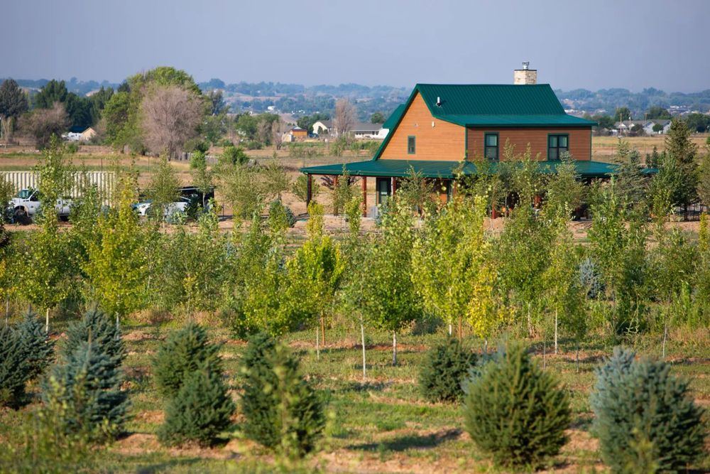 Landscape view for 37-Acre Western Colorado Country Home & Tree F