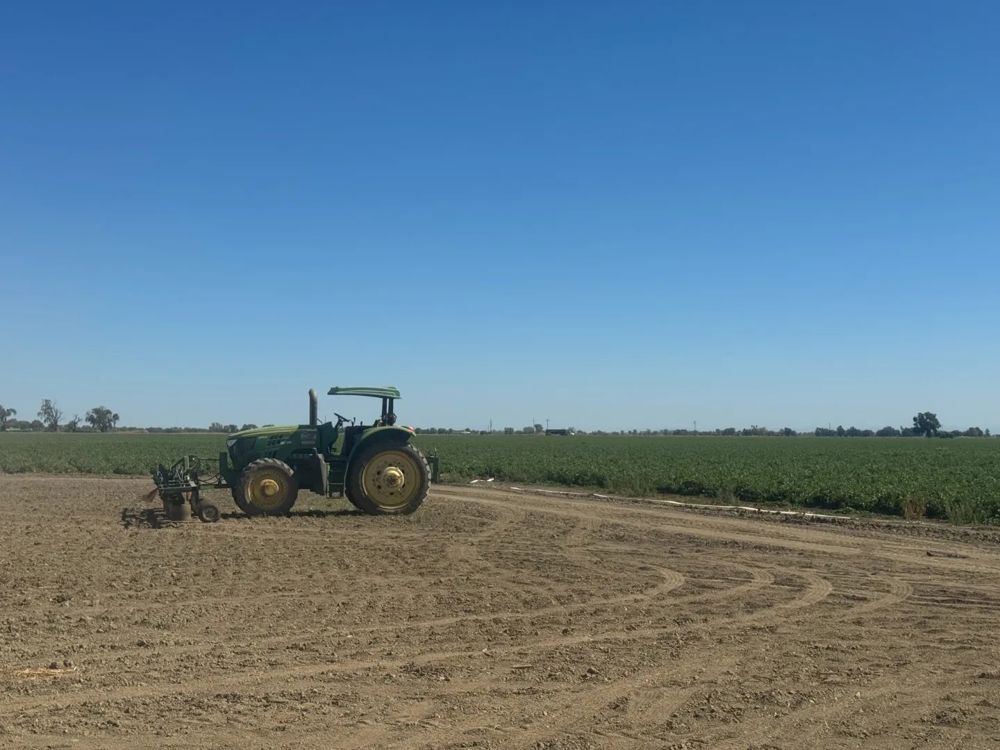 Landscape view for 324 Acres of Farmland in Woodland, CA for Sale