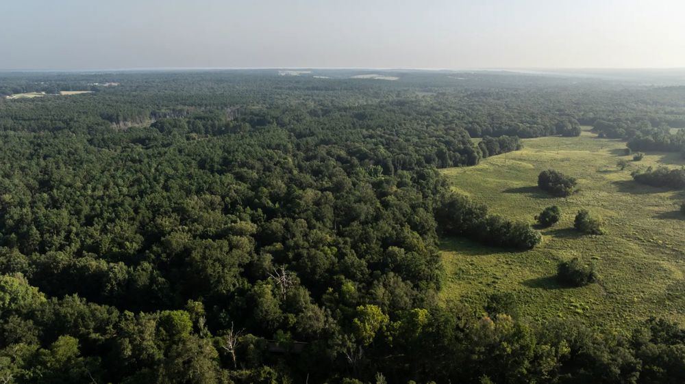 Landscape view for TSG Ranch in Laneville, TX for Sale - 328 Acres of