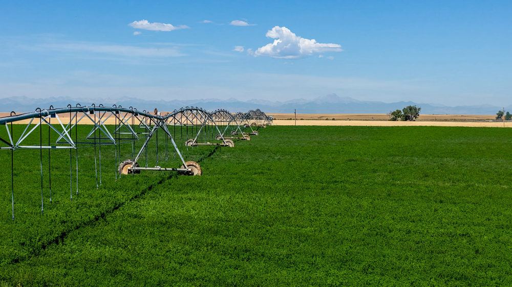 Landscape view for Hudson 237 Farm