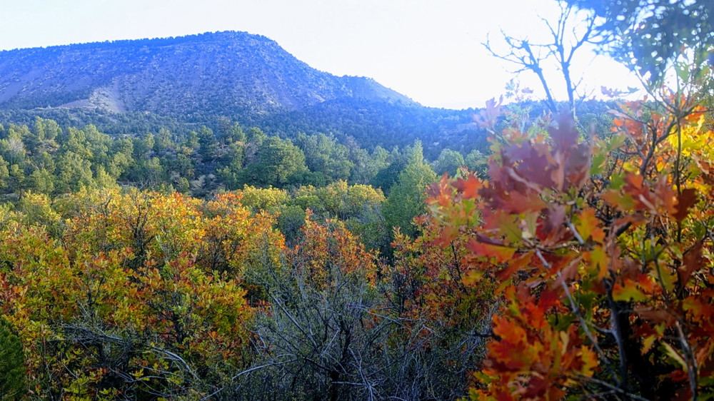Landscape view for Picnic Flats Hunting Ranch
