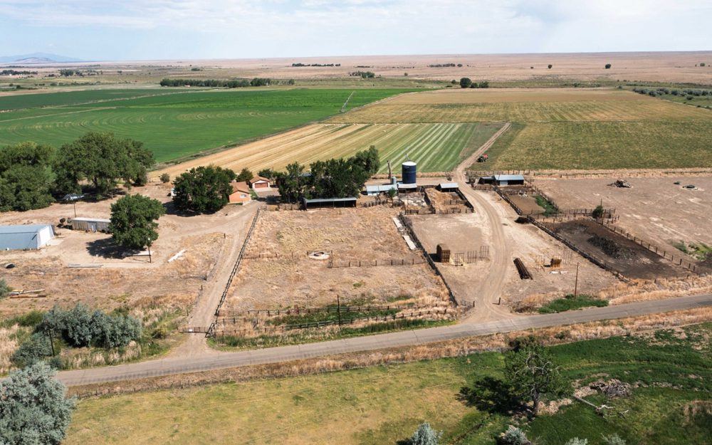 Landscape view for Chicosa Arroyo Farm