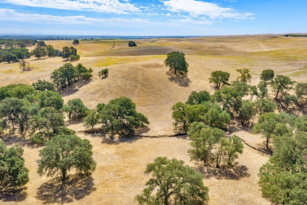 Landscape view for Dunnigan Hills Estate