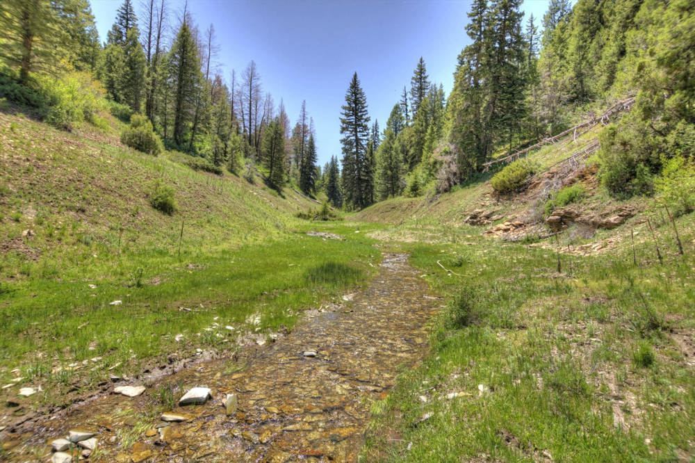Landscape view for Timber Valley Ranch
