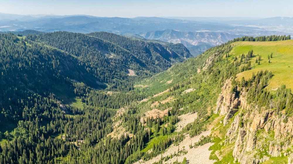 Landscape view for Keyser Springs Inholding