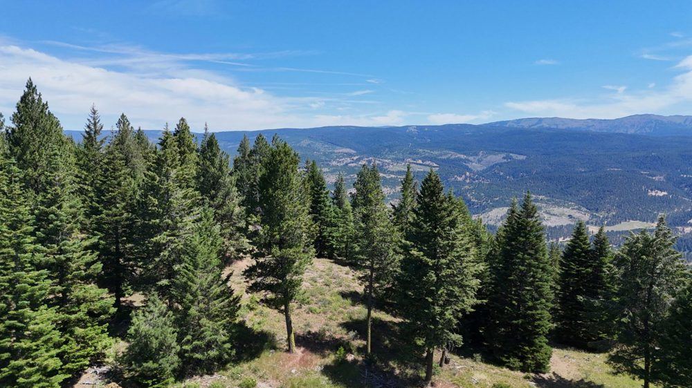 Landscape view for Majestic Ranch