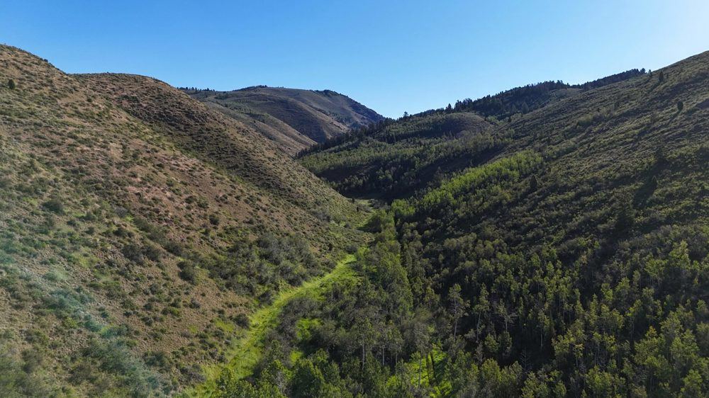 Landscape view for Canyon Rim Ranch