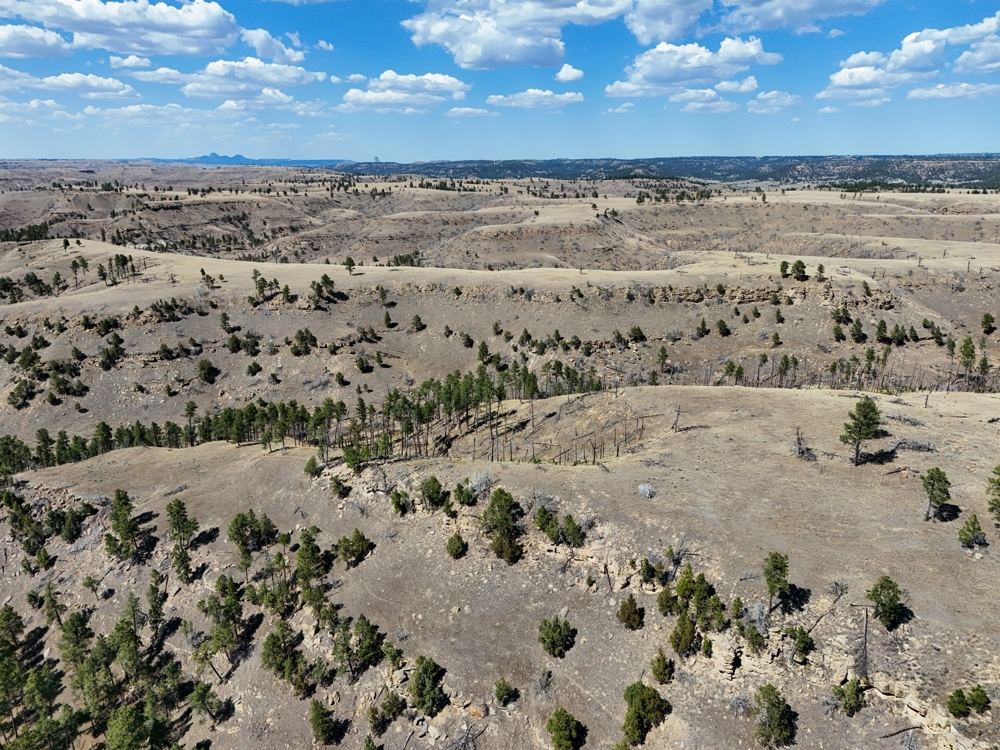 Landscape view for Tower Lookout Ranch
