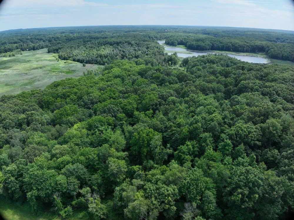 Landscape view for Rochester Road – 80 Acres