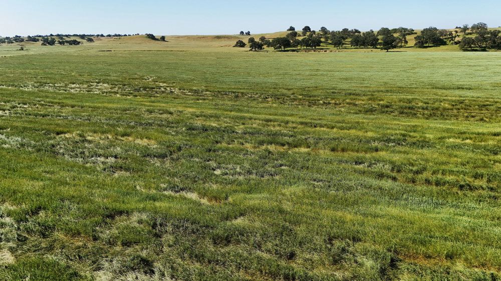 Landscape view for Legacy Armstrong Ranch