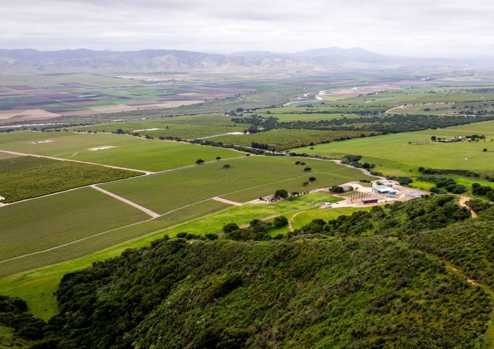 Landscape view for Boekenoogen Santa Lucia Highlands Vineyard Proper