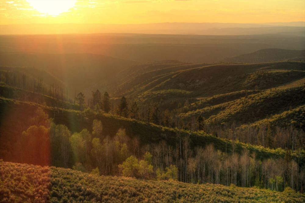 Landscape view for Cow Creek Ranch