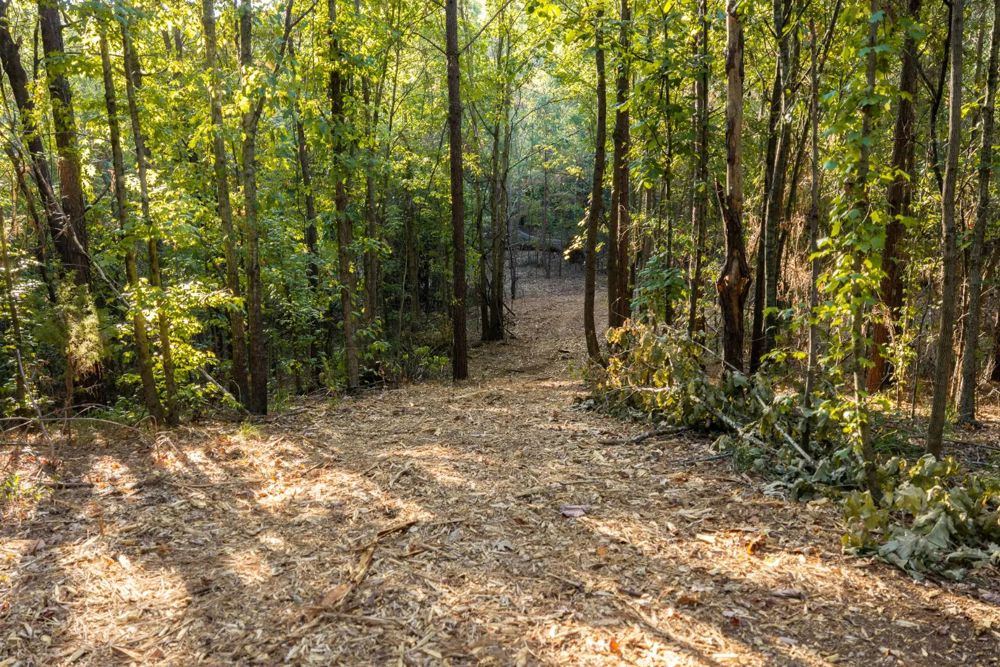 Landscape view for 141 Acres of Timber, Hunting & Recreational La