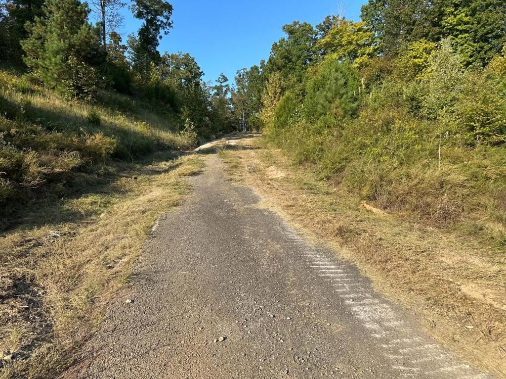 Landscape view for Leipers Creek Road East
