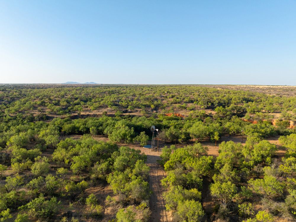 Landscape view for Turnaround Ranch