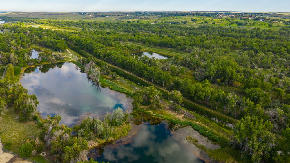 Landscape view for Pintail Properties
