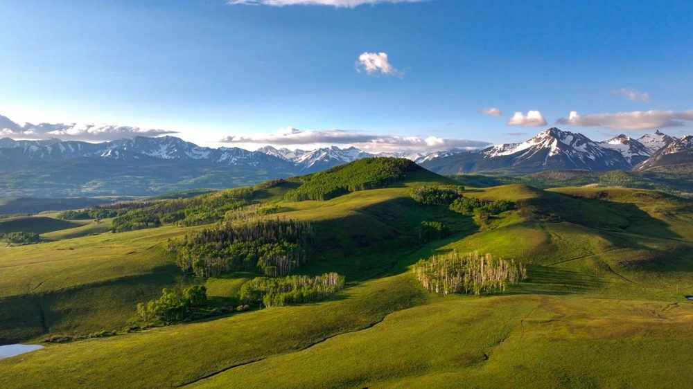 Landscape view for Homewood Ranch