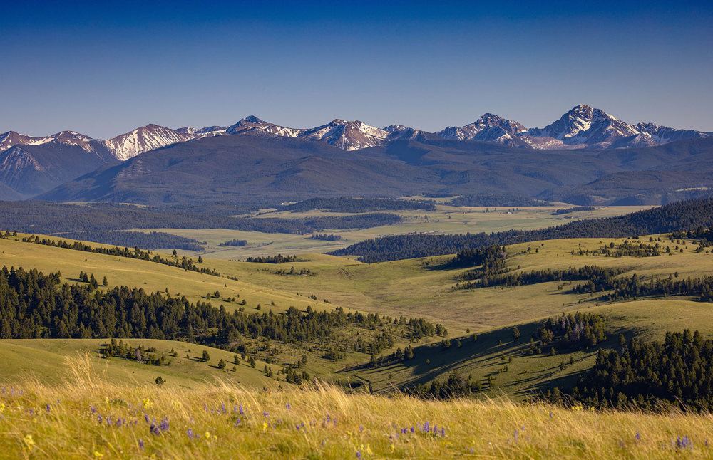 Landscape view for Rocking Chair Ranch