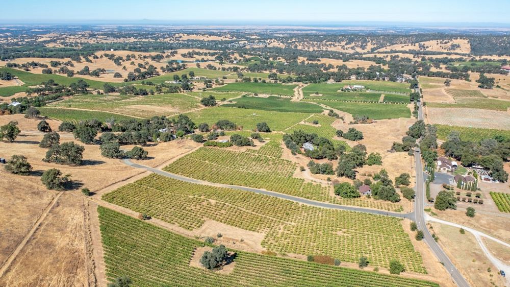 Landscape view for Henry’s Vineyard