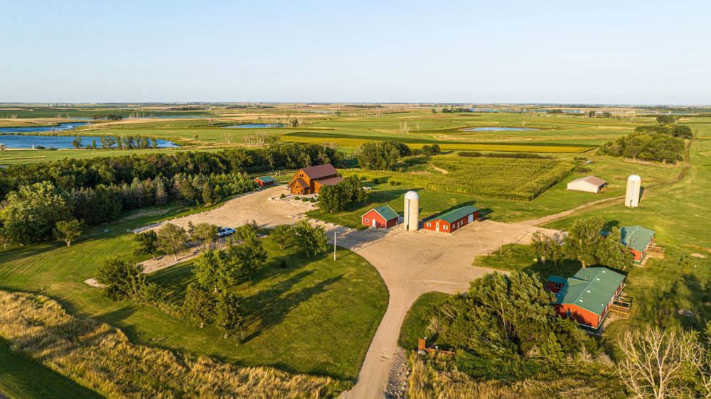 Landscape view for South Dakota Pheasant Acres