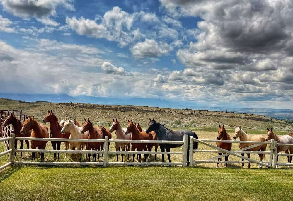 Landscape view for Cherry Springs Ranch
